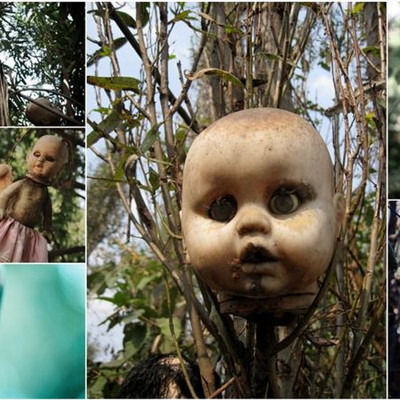 Island Of The Dolls Mexico’s Creepiest Place Amusing